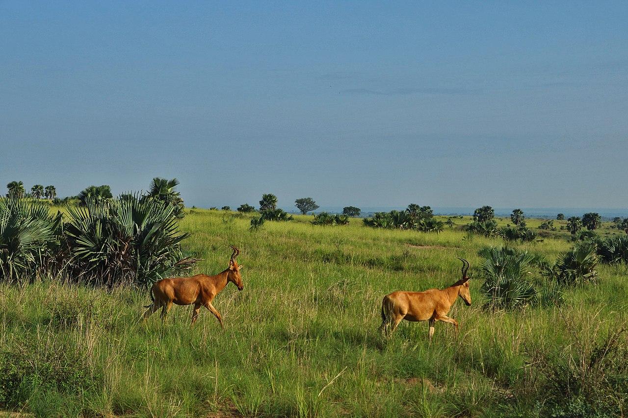 Bujumbura, Burundi